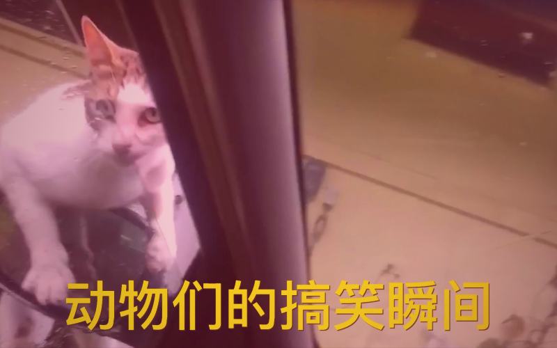 抖漫逆天改命玄幻漫画合集封面展示图