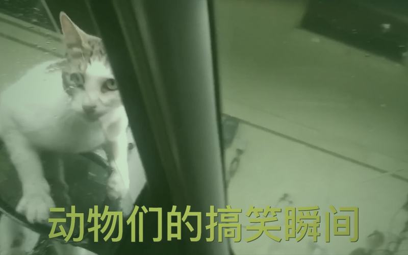 编辑团队正在审阅冷门灵异漫画稿件，桌面散落着画稿与笔记